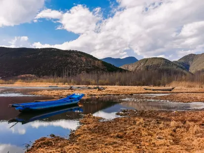 Bobby Kasyno Aplikacja mobilna